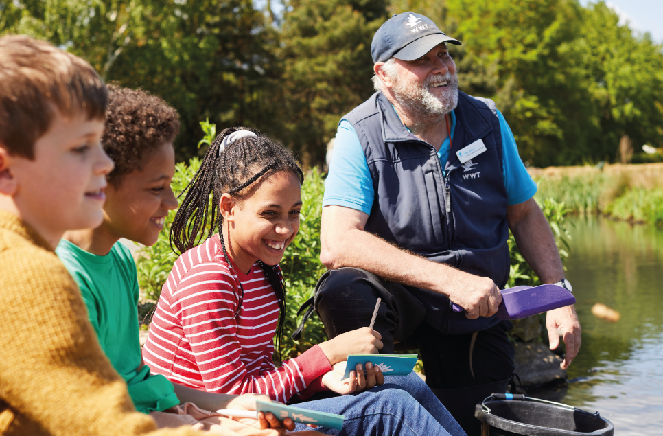 Become a Wetland Ranger this Summer at WWT Martin Mere